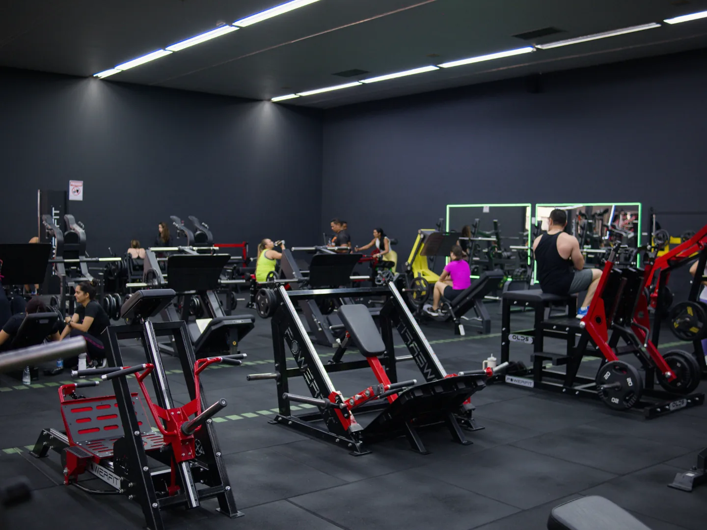 Área cardiovascular com esteiras e bikes